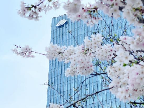 Mandarin Oriental Pudong Shanghai